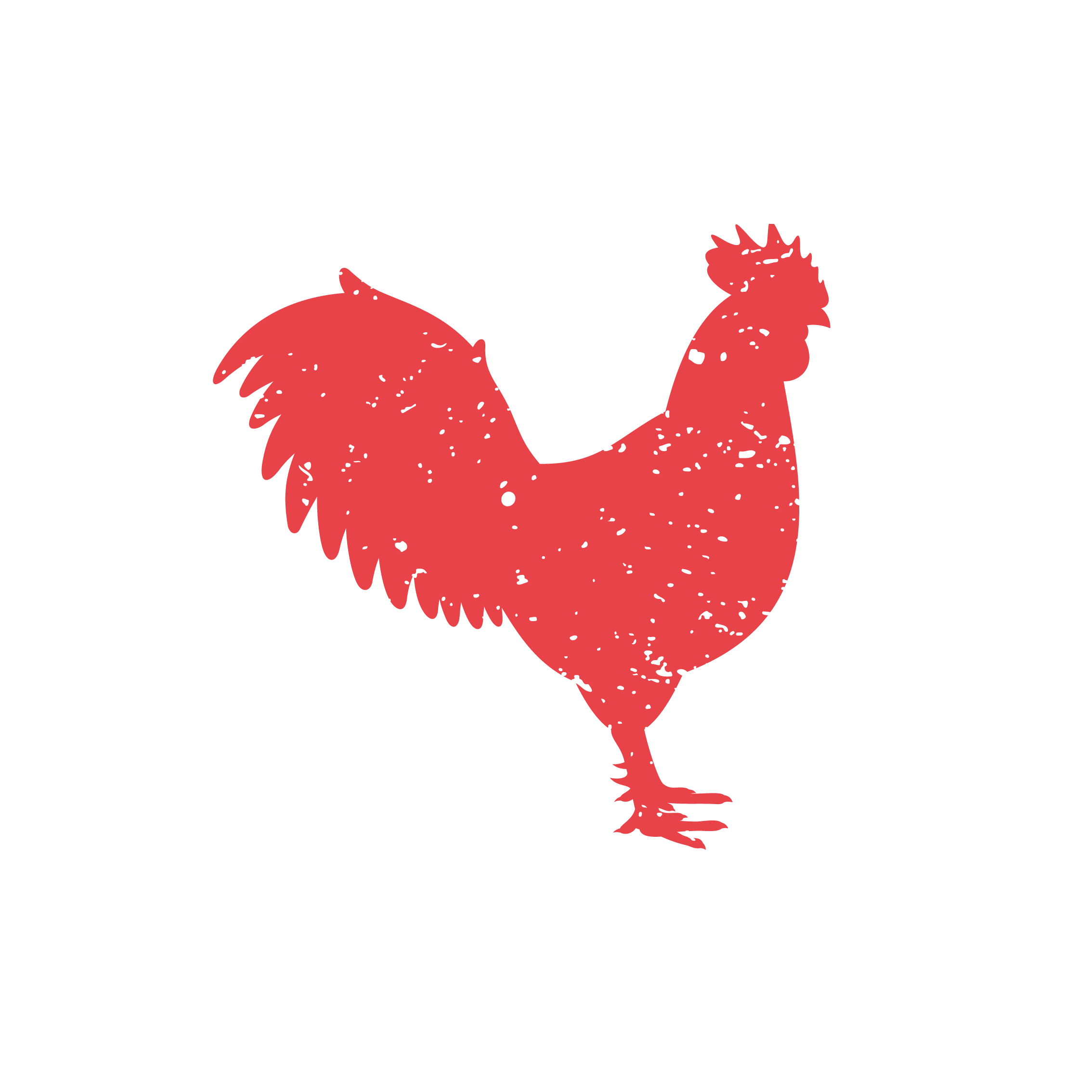 Volailles et gibiers