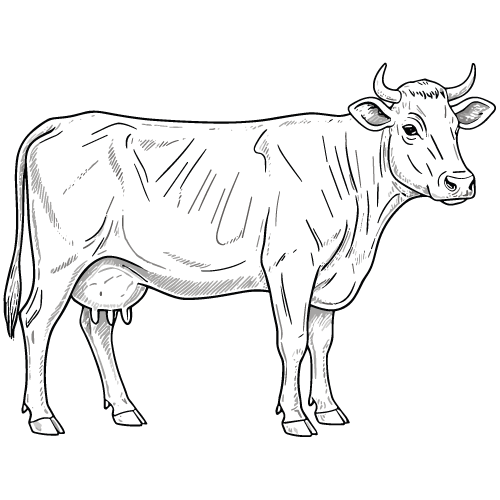 icone boeuf